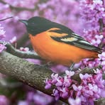 Nancy Holbert Secor - Facebook