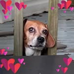 Nancy Holbert-Sonnett - @foo_magoo - Instagram