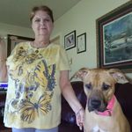 Nancy Holcomb - @nancyholcomb466 - Instagram