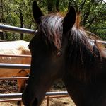 Nancy Holcomb - @nancy.holcomb.370 - Instagram
