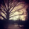 Nancy Holcomb - @user068413457 - TikTok