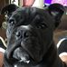 Nancy Holcomb - Facebook