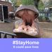 Nancy Holcomb - Facebook