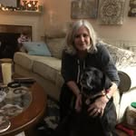 Nancy Carroll Holecek - @nancyholecek - Instagram