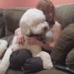 Nancy Blash Carskie Holihan - @nancyh03 - Instagram