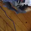 Nancy Hollgarth - @nancy.hollgarth - TikTok