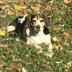 Nancy Holley - @nancyholley804 - Instagram