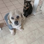 Nancy Holley - @nancyholley29 - Instagram