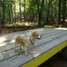 Nancy Holsomback - Facebook