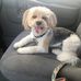 Nancy Holtkamp Honeywell - Facebook