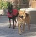 Nancy Hooton - Facebook