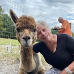 Nancy Hornstein - @hornstein89 - Instagram