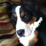 Nancy Houde - @nancy_houde - Instagram