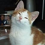 Nancy Houghtaling - @nancyjohnson4223 - Instagram