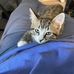 Nancy Houghtaling - Facebook