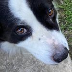 Nancy Houghtaling Backes - @nkbackes - Instagram