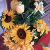 Nancyjhovis_11 - @nancyjhovis_11 - TikTok