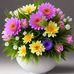 Nancy Howe - Facebook