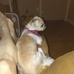 Nancy Howell - @nancyhowell637 - Instagram
