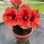 Nancy Howland - @nancyhowland - Instagram