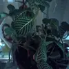 nanahuckaby - @nanahuckaby - TikTok