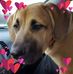 Nancy Hudspeth - Facebook