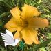 Nancy Hudspeth - Facebook
