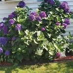 Nancy Huether - Facebook