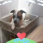 Nancy Huitzil Gómez - @nancyhuitzilgomez - Instagram