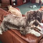 Nancy Hulbert - Facebook