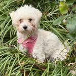 Nancy Hulbert - @hulbertnancy - Instagram