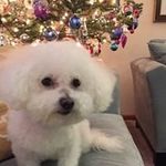 Nancy Medlar Hulbert - @nancyhulbert - Instagram