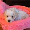 nancyhulbert251 - @nancyhulbert251 - TikTok