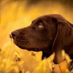 Nancy E. Hulse - @nancyhulse - Instagram