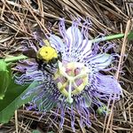 Nancy Hulse - @hulsenancy - Instagram