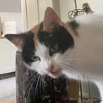 Nancy - @nancy_the_human - Instagram