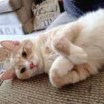 Nancy Hupp Barker - @nancyhuppbarker - Instagram