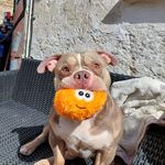 Nancy Huse - @nancy.huse.5 - Instagram