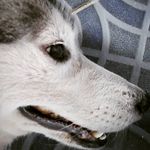 Nancy Griyane Soedono - @nancyhusk.gram - Instagram
