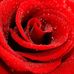 Nancy Husk - Facebook