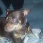 Nancy Huskey - @huskeynancy - Instagram