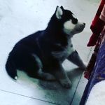 Nancy - @nancy_huskey_pb11 - Instagram