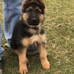 Nancy Hutson - @hutson_nancy - Instagram