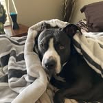 Nancy Hutson McCall - @ceedie57 - Instagram