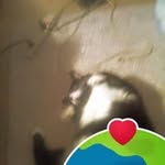 Nancy Hutt - @nancyhutt58 - Instagram