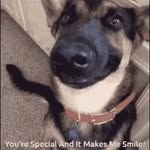 Nancy Hyink - @nancyhyink - Instagram