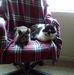 Nancy Icenogle - Facebook