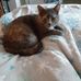 Nancy Icenogle - Facebook