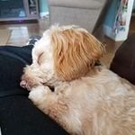 Nancy Illingworth - @illingworthnancy - Instagram