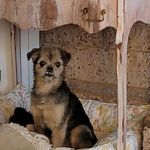 Nancy Willingham - @nancy.willingham.754 - Instagram